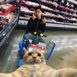 Meet your Posher, Alex